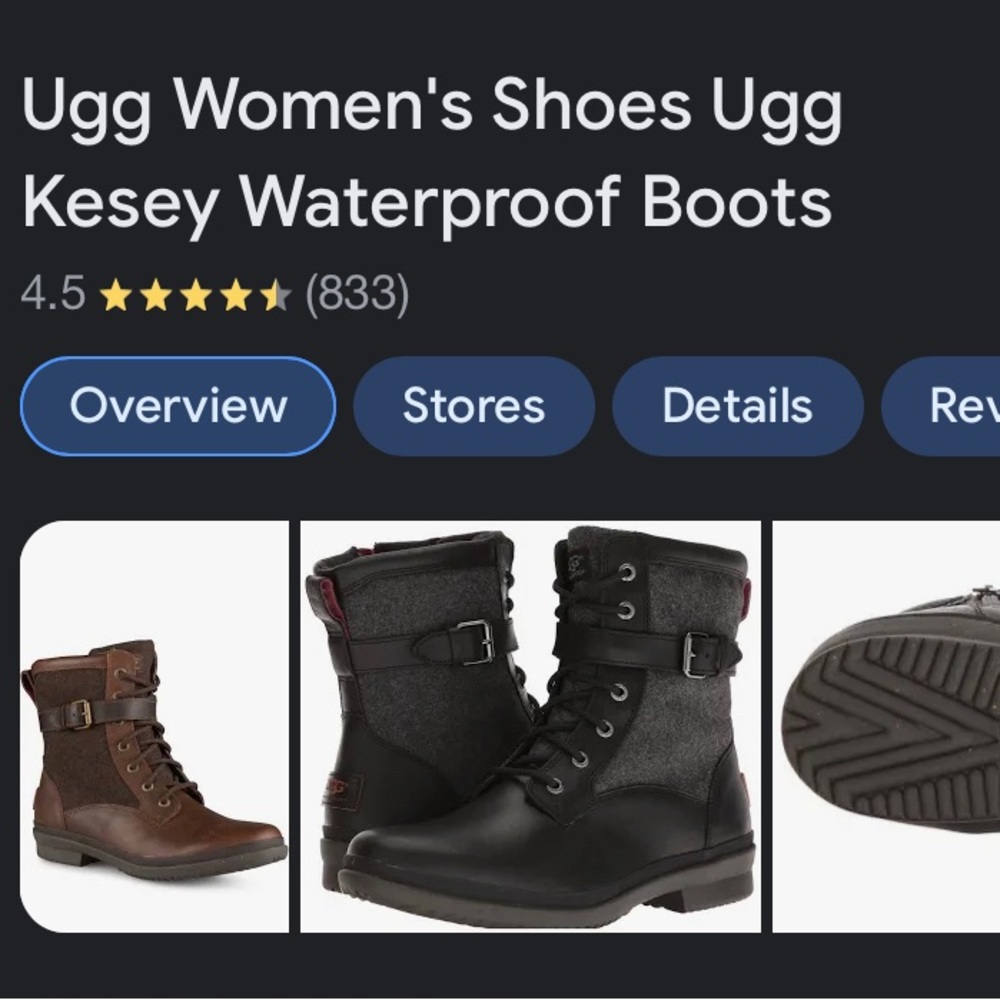 UGG WATERPROOF Fall / Winter Boot